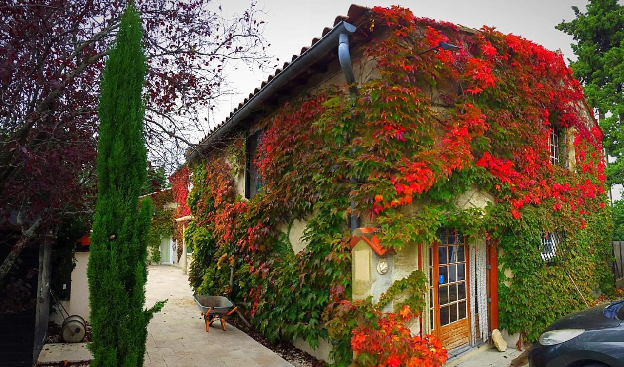 Le Mas Des Abeilles - Chambres D'Hotes En Drome Provencale La Bégude-de-Mazenc المظهر الخارجي الصورة